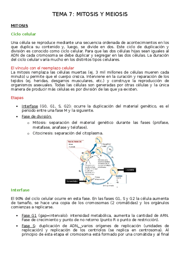 Miniatura del documento Tema-7-biologia.docx