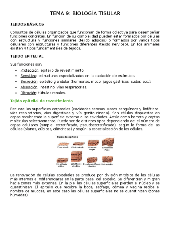 Miniatura del documento Tema-9-biologia.docx
