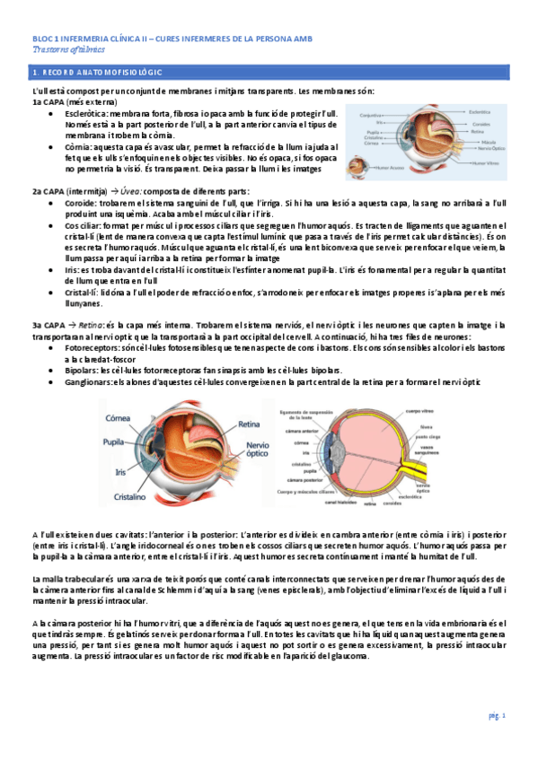 Miniatura del documento INF-CLINICA-OFTALMO.pdf