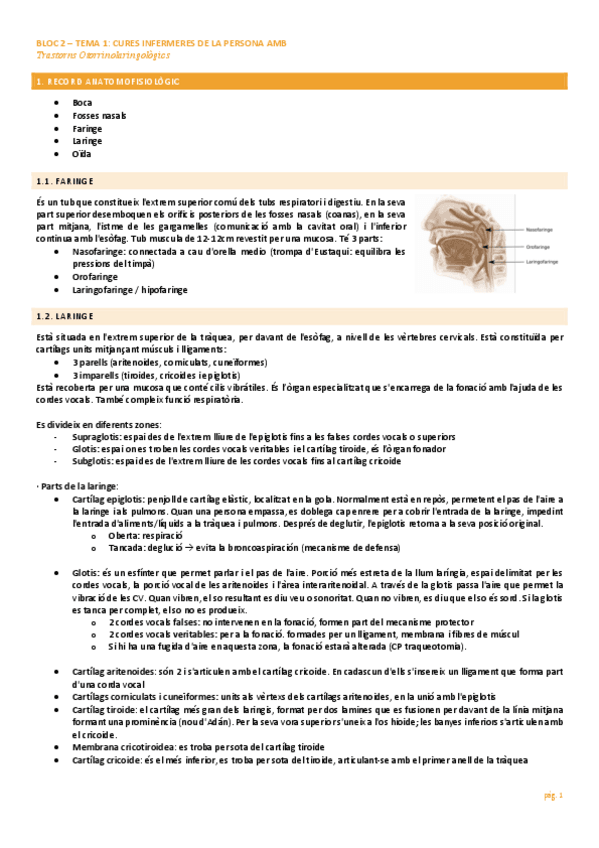 Miniatura del documento INF-CLINICA-II-ORL.pdf