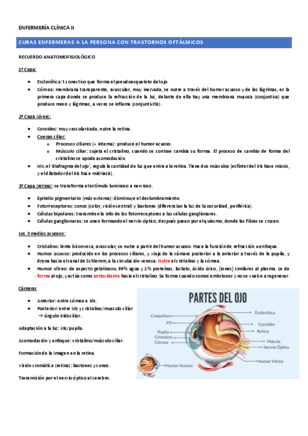 Miniatura del documento EC-II-OFTALMO-OTORRINO.pdf