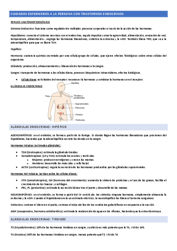 Miniatura del documento EC-II-ENDOCRINO.pdf