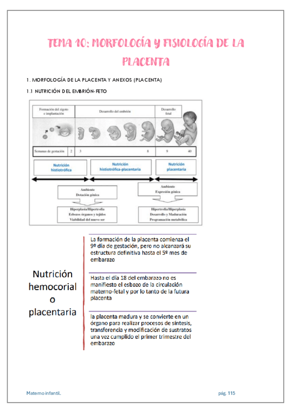 Miniatura del documento APUNTES-MATERNO-INFANTIL-TEMA-10.pdf