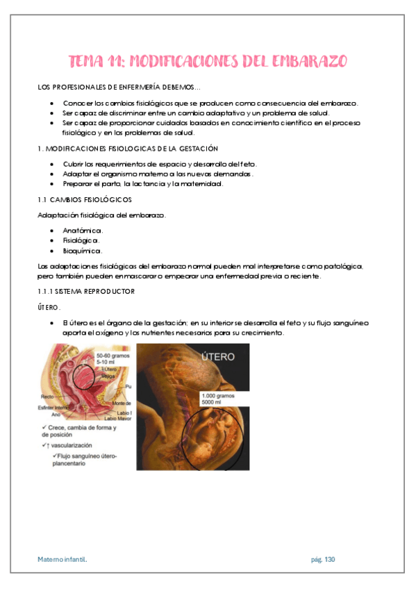 Miniatura del documento APUNTES-MATERNO-INFANTIL-TEMA-11.pdf