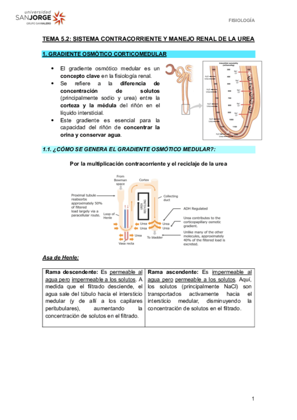 Miniatura del documento T5.2.pdf