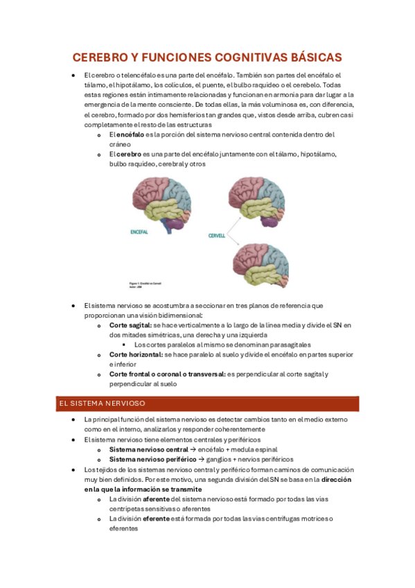 Miniatura del documento BLOC-2.pdf