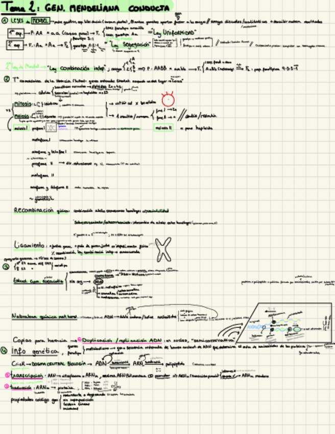 Miniatura del documento esquema-psicobio-t2.1.pdf