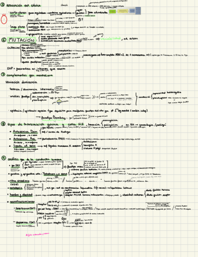 Miniatura del documento esquema-psicobio-t2.2.pdf