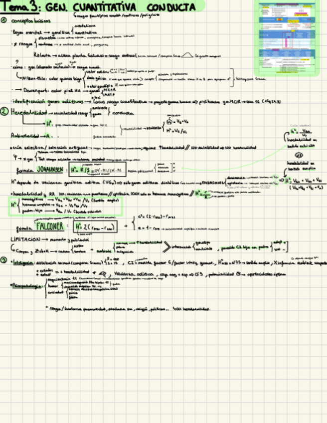 Miniatura del documento esquema-psicobio-t3.pdf
