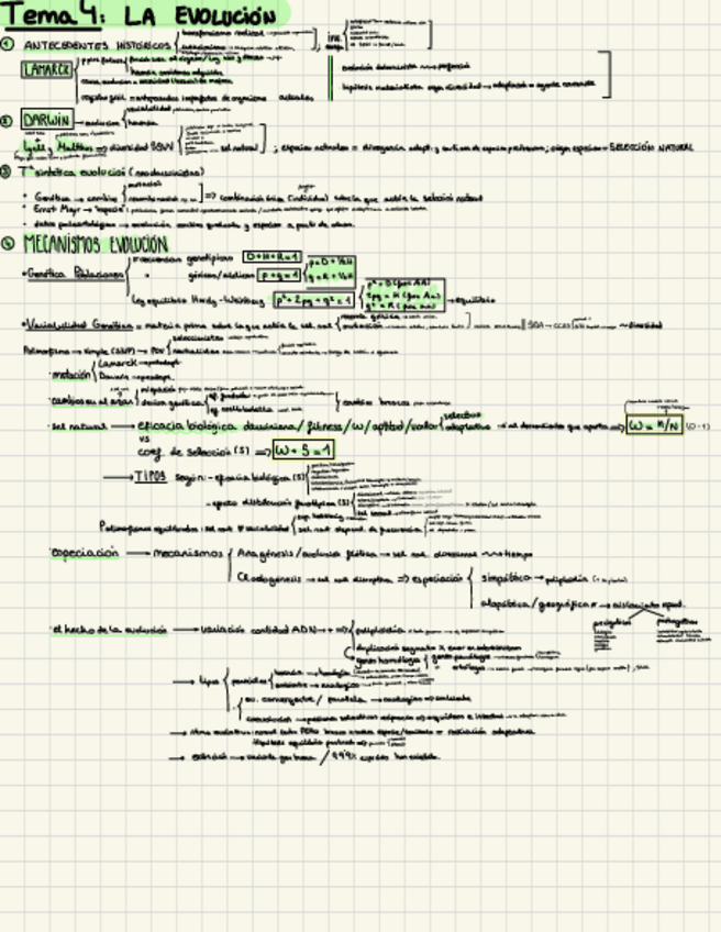 Miniatura del documento esquema-psicobio-t4.pdf