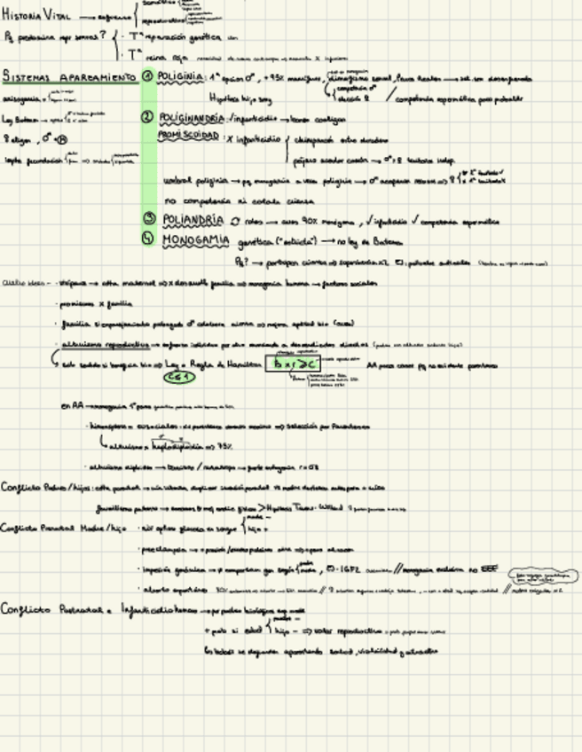 Miniatura del documento esquema-psicobio-t5.2.pdf