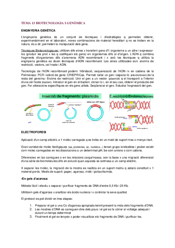Miniatura del documento TEMA-13-BIOTECNOLOGIA-I-GENOMICA.docx