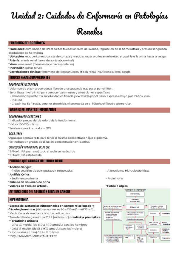 Miniatura del documento Unidad-2-Cuidados-de-Enfermeria-en-Patologias-Renales.pdf