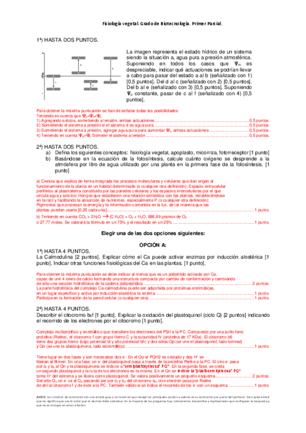 Miniatura del documento parcial_1_18_19_Crit_Correc.pdf