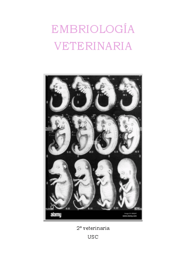 Miniatura del documento Embriologia.pdf