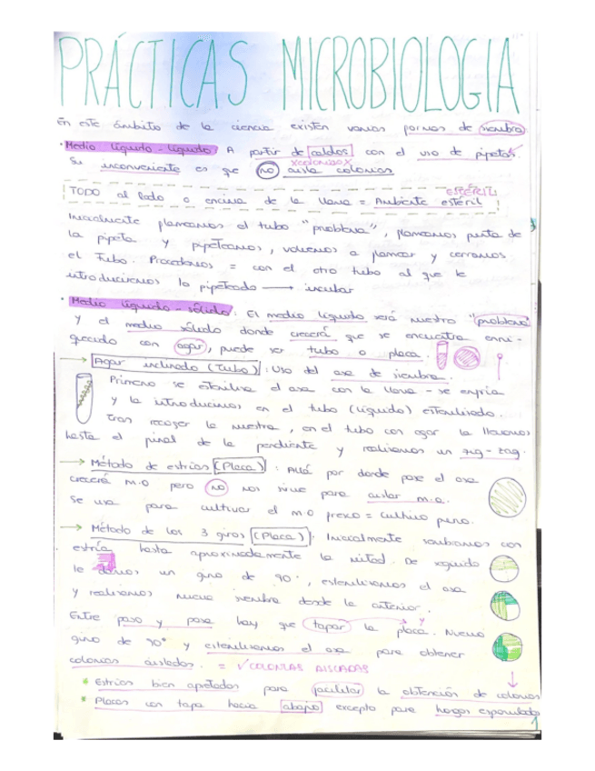 Miniatura del documento RESUMEN-PRACTICAS.pdf