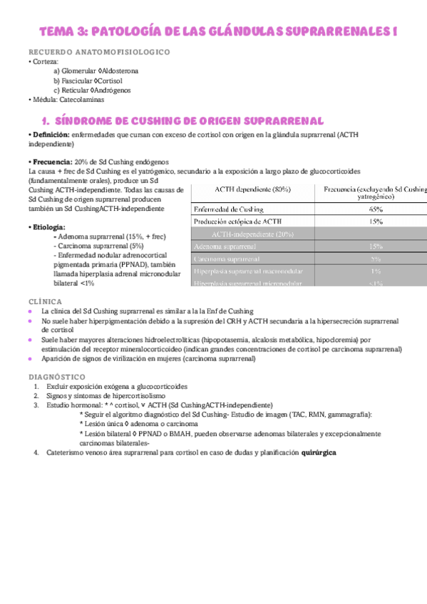 Miniatura del documento TEMA-3-ENDOCRINO.pdf