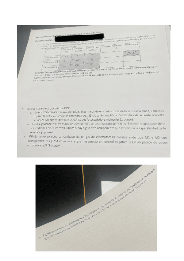 Miniatura del documento PRACTICAS.pdf