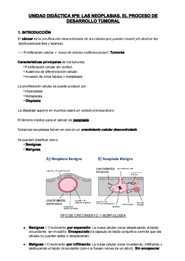 Miniatura del documento UD6-LAS-NEOPLASIAS.-EL-PROCESO-DE-DESARROLLO-TUMORAL.pdf