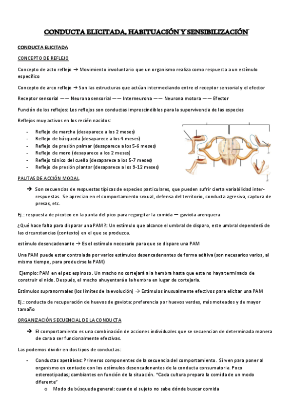 Miniatura del documento TEMA-2.-CONDUCTA-ELICITADA.-HABITUACION-Y-SENSIBILIZACION.pdf