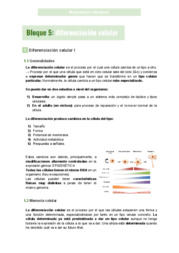 Miniatura del documento Bioquimica-Bloques-5-6.pdf