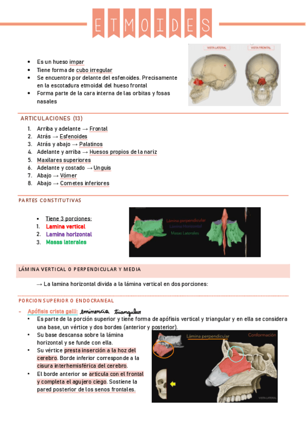 Miniatura del documento Etmoides.pdf