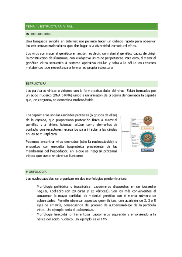 Miniatura del documento TEMA-1-estructura-viral.pdf
