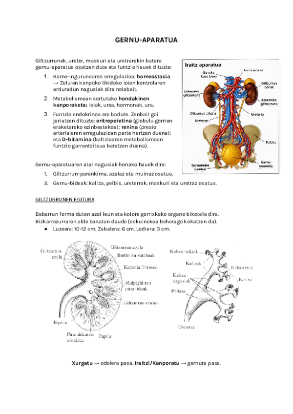 Miniatura del documento GILTZURRUNAK-ETA-GERNU-HODIAK.pdf