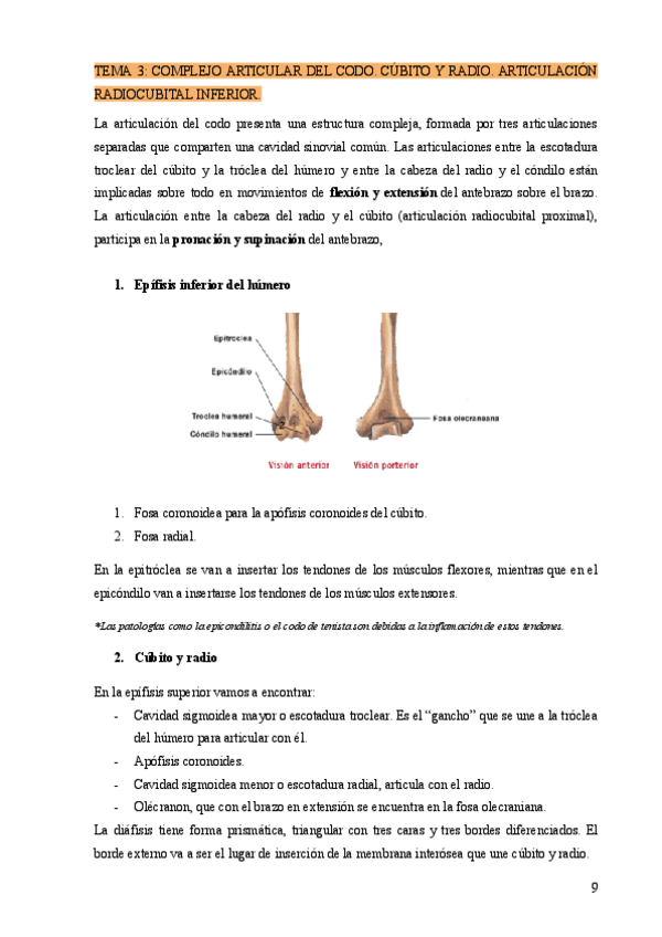 Miniatura del documento TEMA-3-COMPLEJO-ARTICULAR-DEL-CODO.-CUBITO-Y-RADIO.-ARTICULACION-RADIOCUBITAL-INFERIOR..pdf