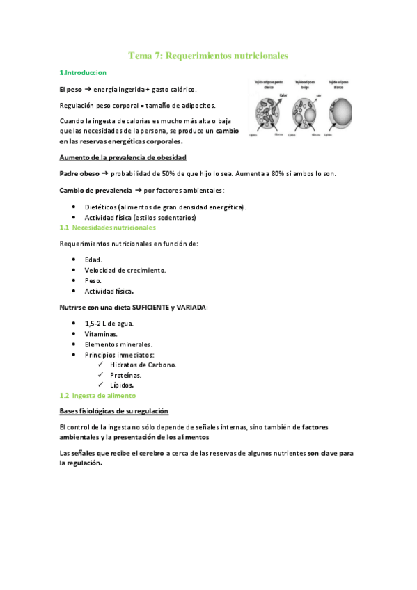 Miniatura del documento Tema-7-requerimientos-nutricionales.pdf
