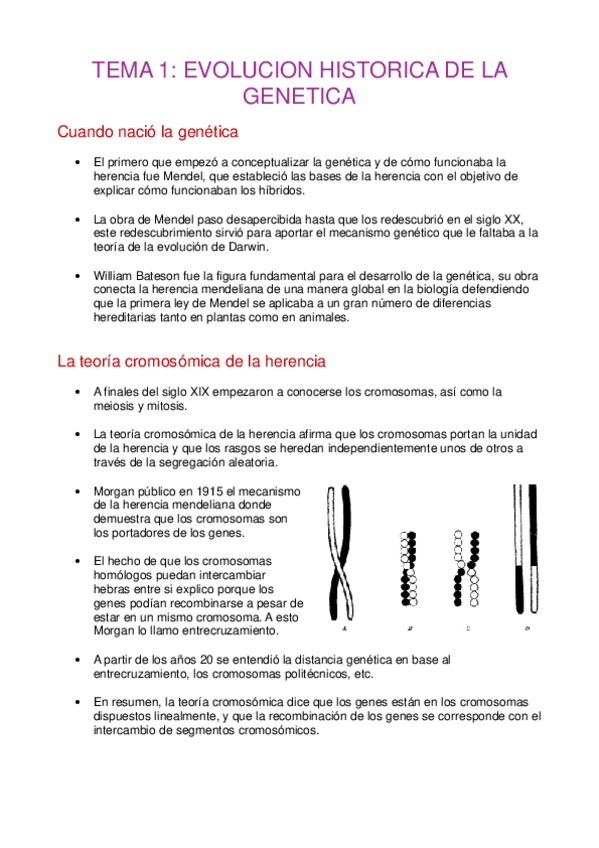 Miniatura del documento Tema1Evolucion-historica-de-la-genetica.pdf