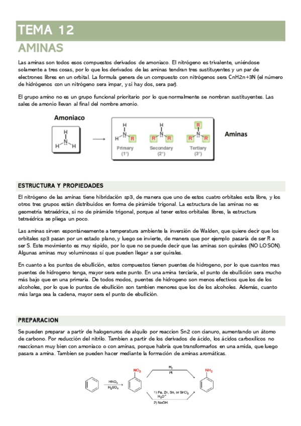 Miniatura del documento TEMA-12-AMINAS.pdf
