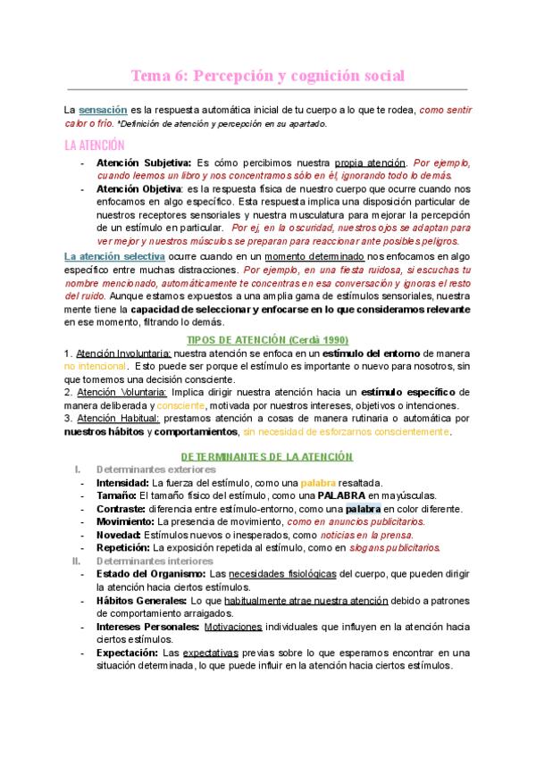 Miniatura del documento Tema-6-Percepcion-y-cognicion-social.pdf