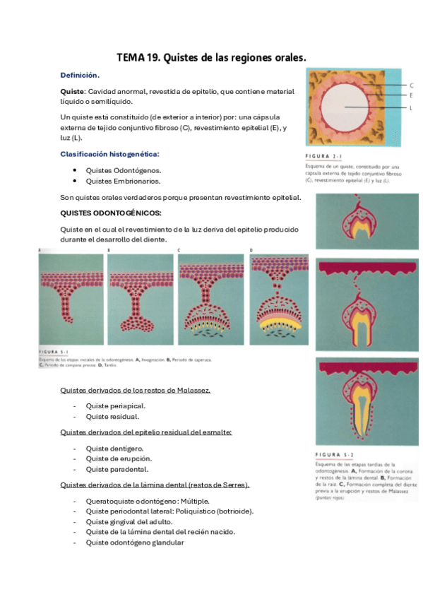 Miniatura del documento TEMA-19.-Quistes-de-las-regiones-orales.pdf