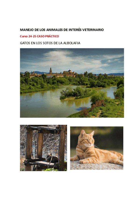 Miniatura del documento caso-practico-manejo-24-25-2aceac0bb7be528f997bf11cf9d3feadb.pdf