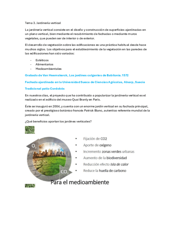 Miniatura del documento Tema-3.-Jardines-verticales.pdf