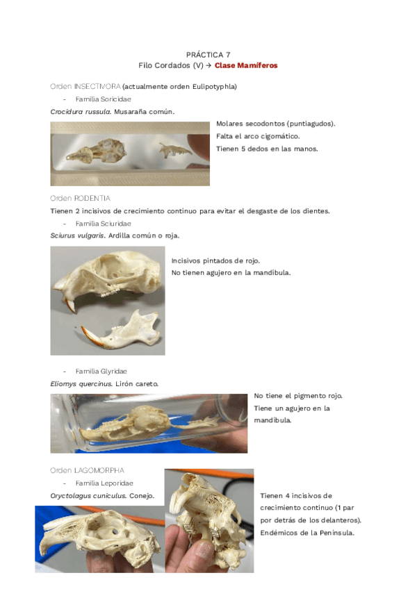 Miniatura del documento practica-7-zoologia.pdf