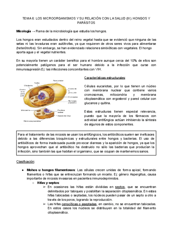 Miniatura del documento Promocion-T6.pdf