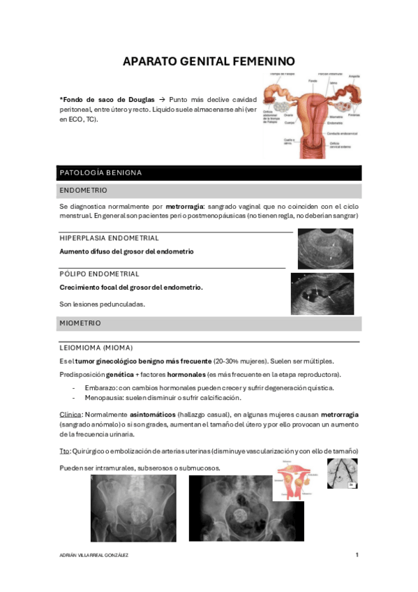 Miniatura del documento APARATO-GENITAL-FEMENINO.pdf