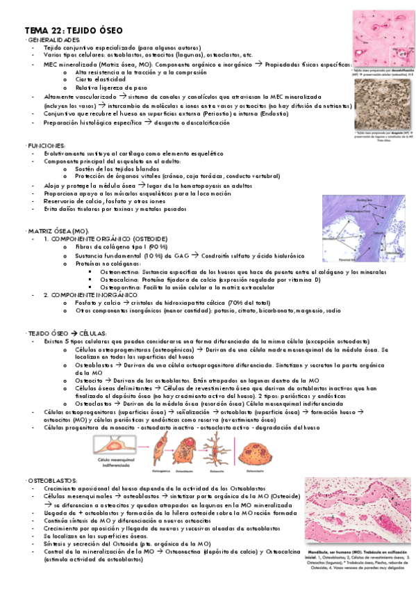 Miniatura del documento Tema-22.pdf