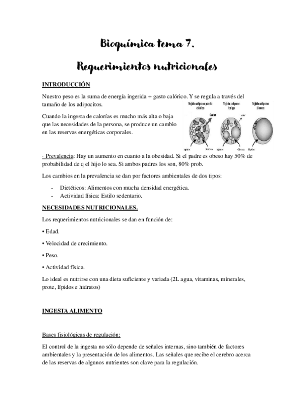Miniatura del documento Bioquimica-tema-7.pdf