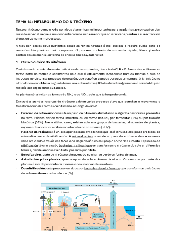 Miniatura del documento Tema-14-FVI.pdf