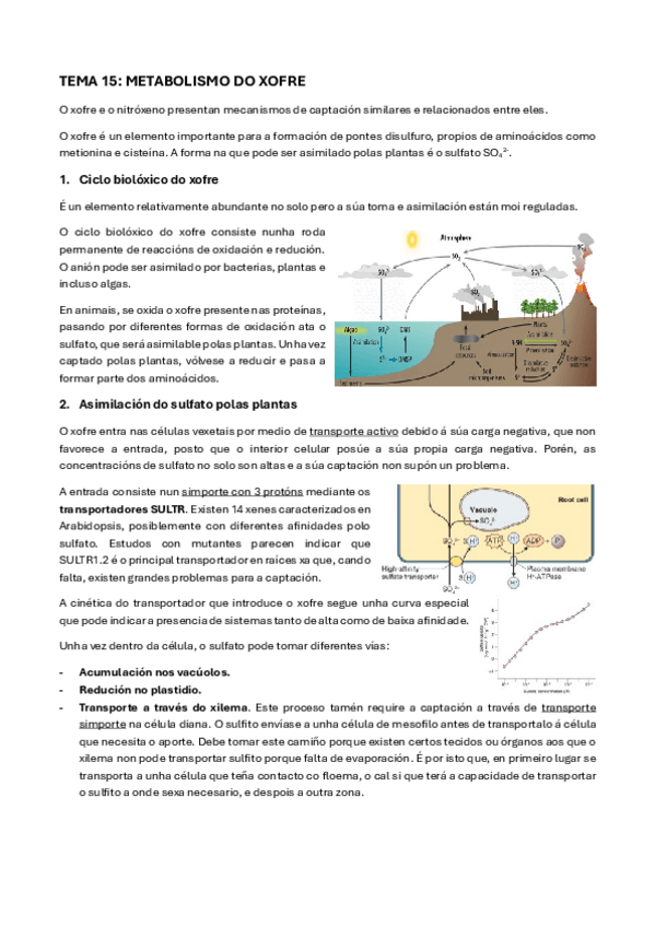 Miniatura del documento Tema-15-FVI.pdf