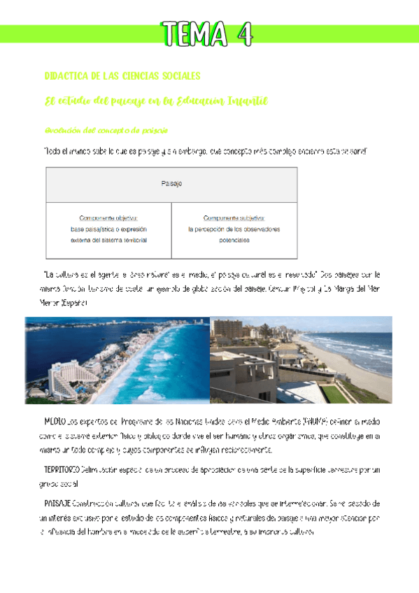 Miniatura del documento TEMA-4-DIDACTICA-DE-LAS-CIENCIAS-SOCIALES.pdf