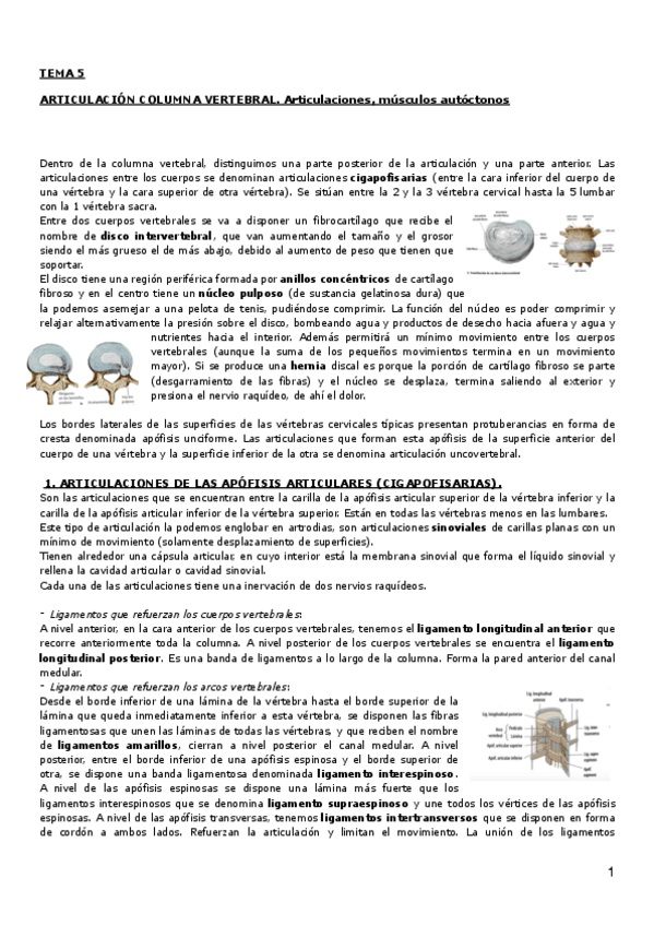 Miniatura del documento Tema 5- articulaciones columna.pdf
