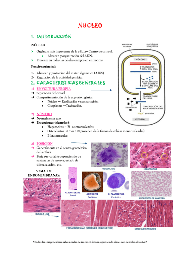 Miniatura del documento TEMA 6 AL 12 BIOLOGIA.pdf