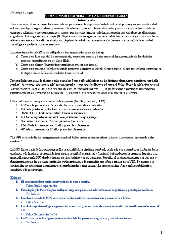 Miniatura del documento NPS-Resumen.pdf