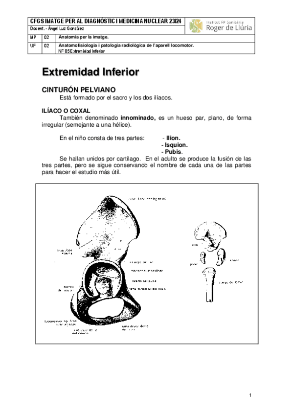 Miniatura del documento MP02-UF2-NF05-Extremidad-Inferiror-1.pdf