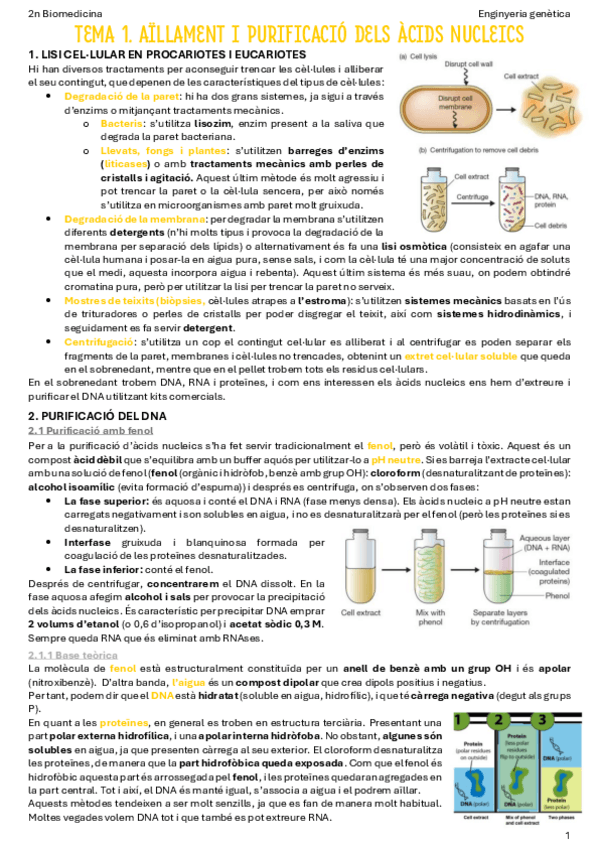 Miniatura del documento T1-Aillament-i-purificacio-dacids-nucleics.pdf
