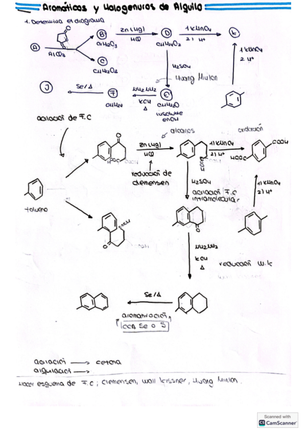 Miniatura del documento Halogenuros-de-Alquilo.pdf